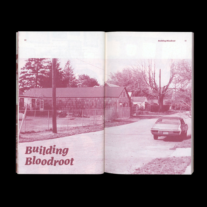 OUR DAILY LIVES HAVE TO BE A SATISFACTION IN THEMSELVES: 40 YEARS OF BLOODROOT by Selma Miriam, Noel Furie