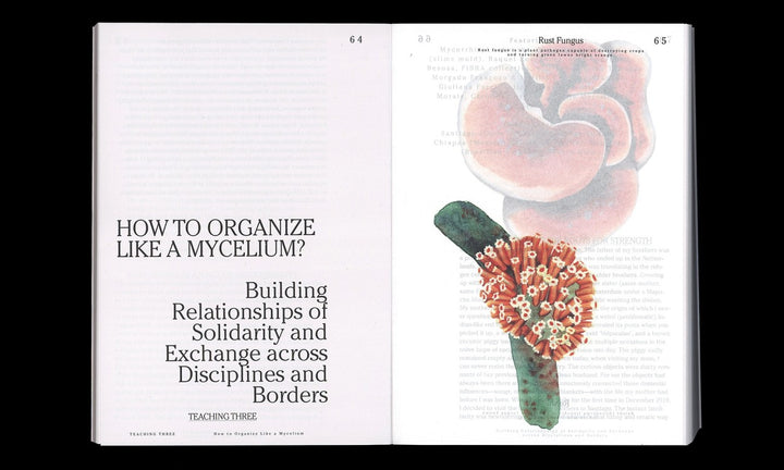 LET’S BECOME FUNGAL! MYCELIUM TEACHINGS AND THE ARTS by Yasmine Ostendorf-Rodríguez