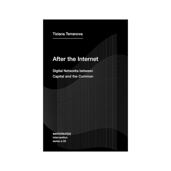 AFTER THE INTERNET: DIGITAL NETWORKS BETWEEN CAPITAL AND THE COMMON by Tiziana Terranova