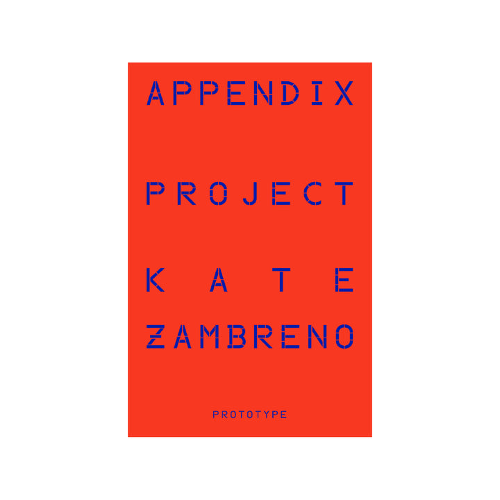 APPENDIX PROJECT by Kate Zambreno