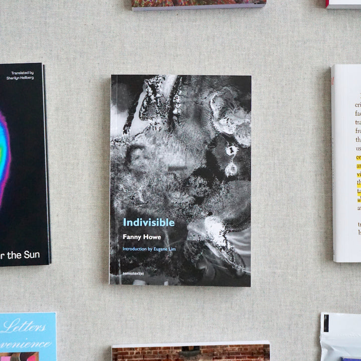 INDIVISIBLE by Fanny Howe