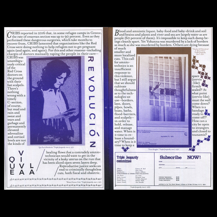 MSHERESIES 3: AMNIOTECHNICS by Rietlanden Women’s Office