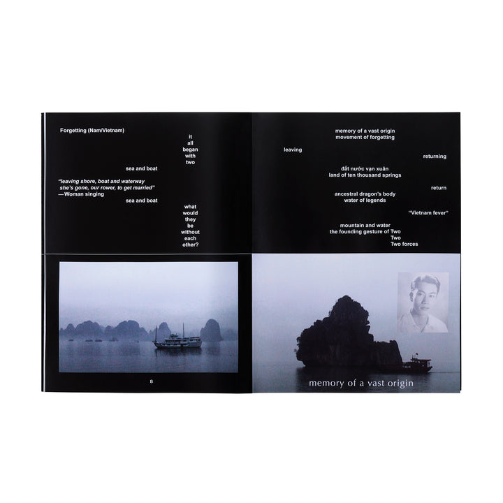 THE TWOFOLD COMMITMENT by Trinh T. Minh-ha