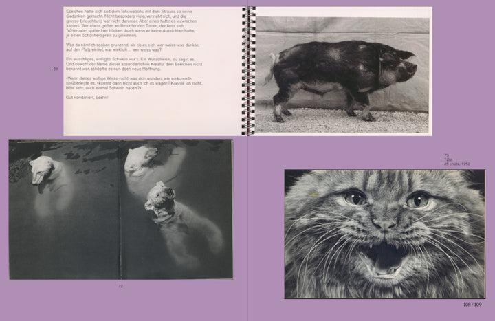L IS FOR LOOK CHILDREN’S PHOTOBOOKS by Anne Lacoste, Rose Durr