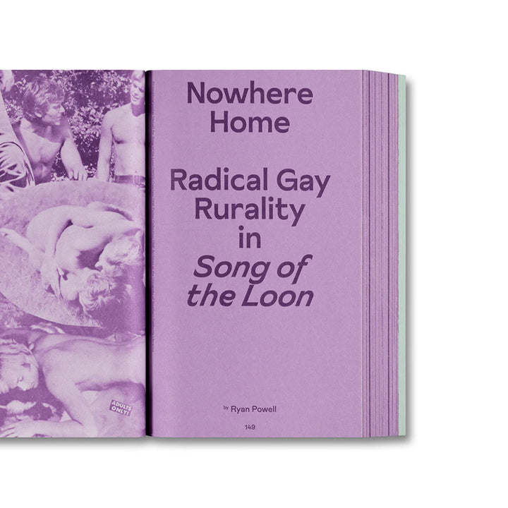 LITTLE JOE: A BOOK ABOUT QUEERS AND CINEMA, MOSTLY by Sam Ashby