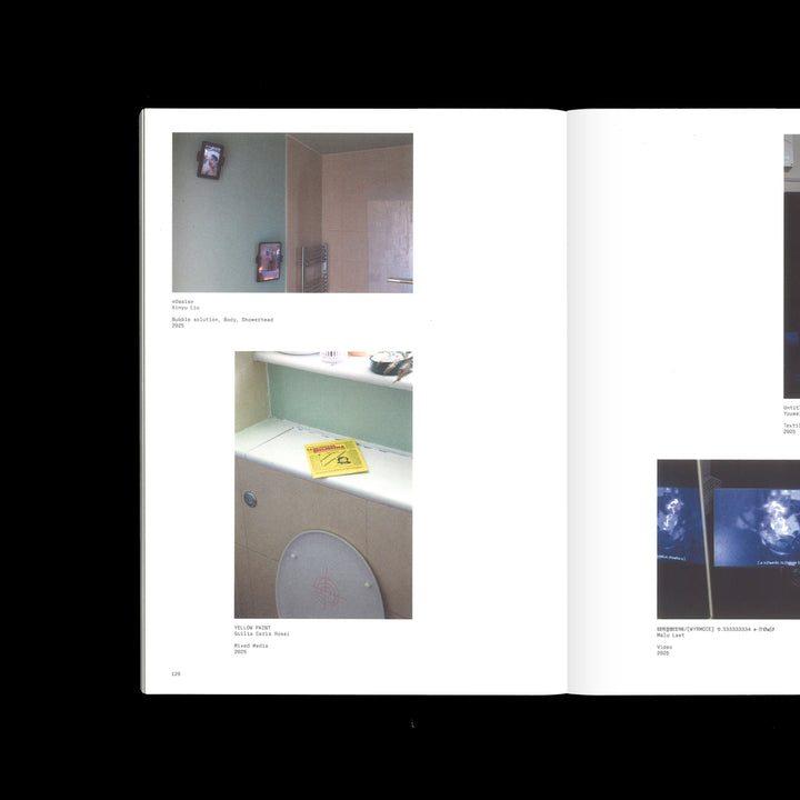 THE APARTMENT: HOME AS ARTSPACE by Michelle So, Robin Leverton