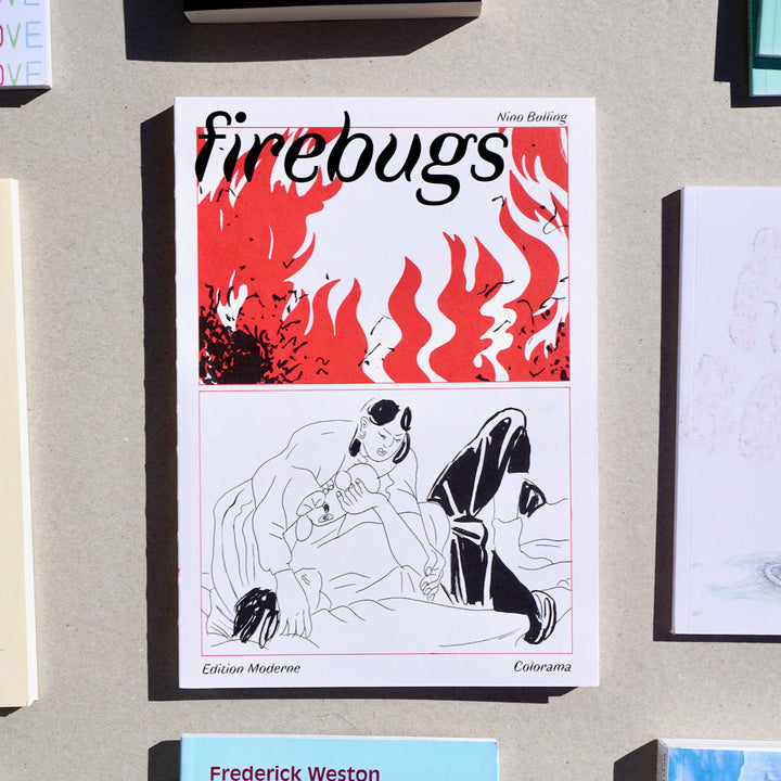FIREBUGS by Nino Bulling