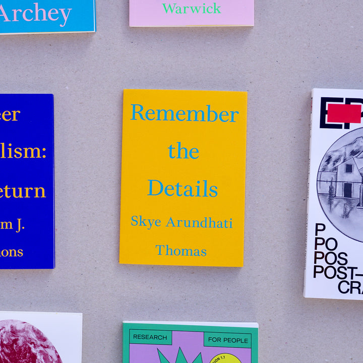 REMEMBER THE DETAILS by Skye Arundhati Thomas