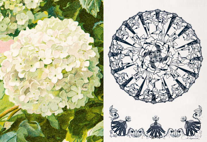 FORMES ET COULEURS: LES ARTS DÉCORATIFS DANS LE FONDS DE LIVRES ANCIENS DE L'ISDAT by Jérôme Delormas, Anne Jourdain, Valérie du Chéné