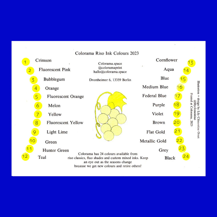 COLORSHEET FRUIT BASKET by Lily Orset