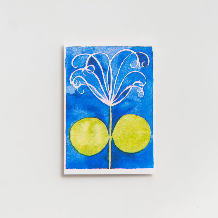 FLOWERS [RISO POSTCARDS] by Malwine Stauss