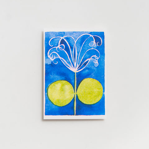 FLOWERS [RISO POSTCARDS] by Malwine Stauss