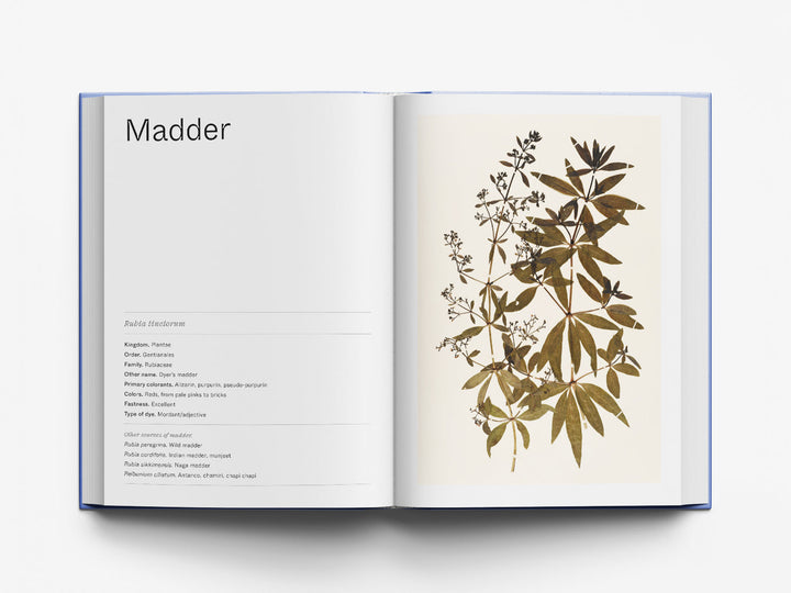 IN PURSUIT OF COLOR: FROM FUNGI TO FOSSIL FUELS, UNCOVERING THE ORIGINS OF THE WORLD'S MOST FAMOUS DYES by Lauren Macdonald