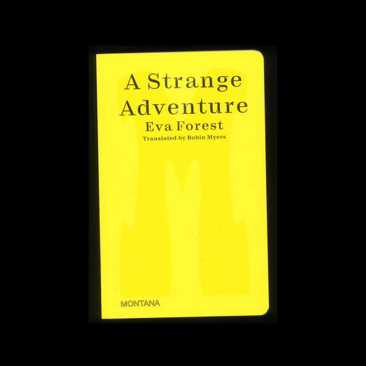 A STRANGE ADVENTURE by Eva Forest