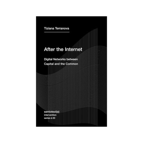 AFTER THE INTERNET: DIGITAL NETWORKS BETWEEN CAPITAL AND THE COMMON by Tiziana Terranova