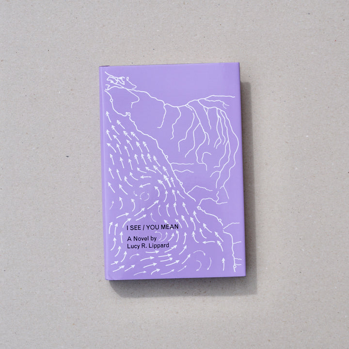 I SEE / YOU MEAN by Lucy Lippard