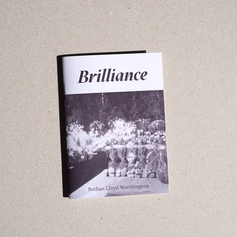 BRILLIANCE by Bethan Lloyd Worthington