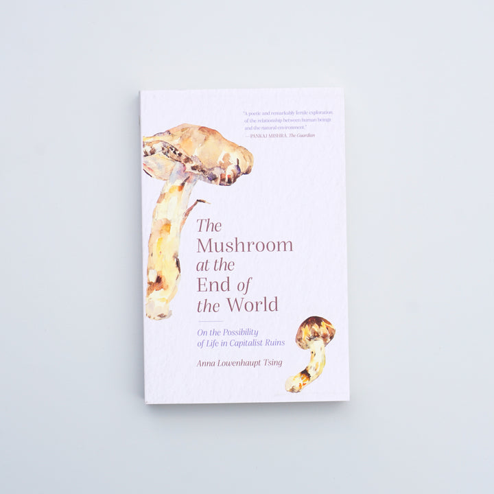 THE MUSHROOM AT THE END OF THE WORLD: ON THE POSSIBILITY OF LIFE IN CAPITALIST RUINS by Anna Lowenhaupt Tsing