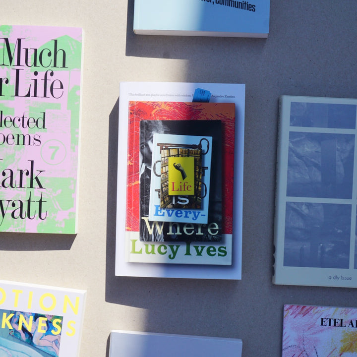 LIFE IS EVERYWHERE by Lucy Ives