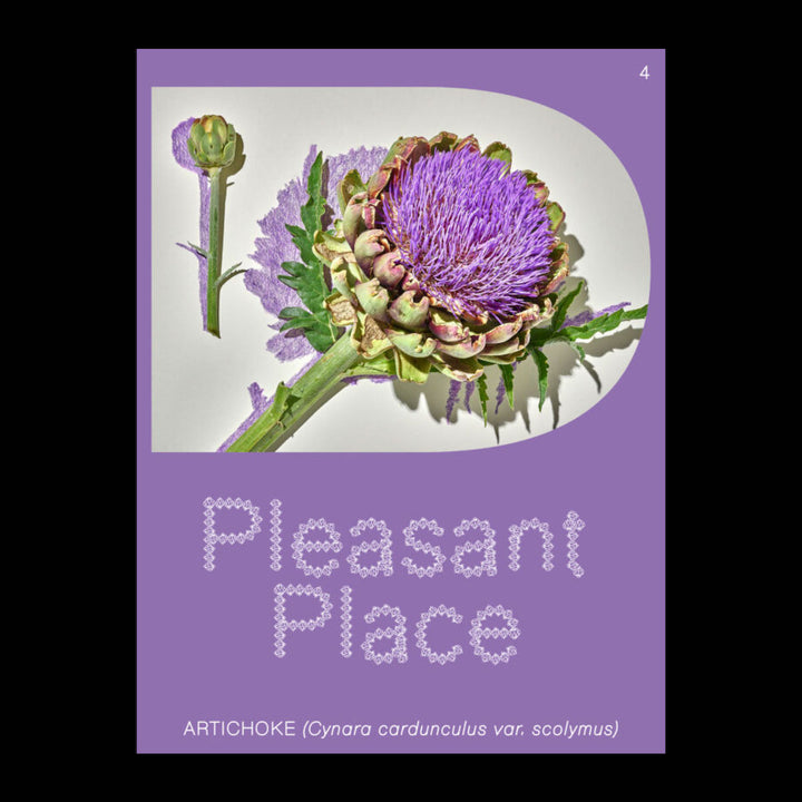 PLEASANT PLACE ISSUE 4: ARTICHOKE by Pleasant Place