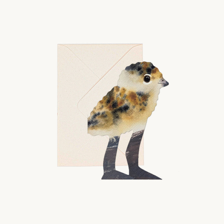 LAPWING CHICK by Hadley Paper Goods, RSPBA