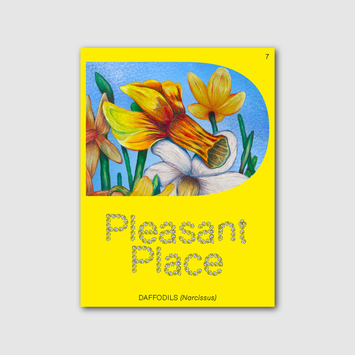 PLEASANT PLACE ISSUE 7: DAFFODILS (NARCISSUS) by Pleasant Place