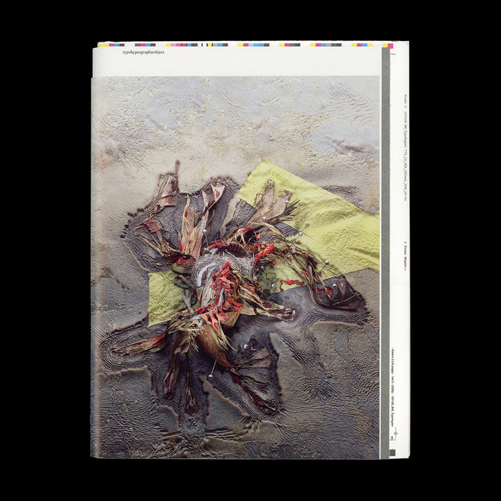 typohypergraphicobject by James Langdon