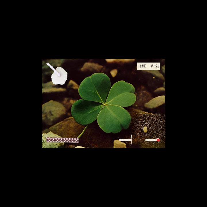 FOUR LEAF CLOVER by Wish Cards