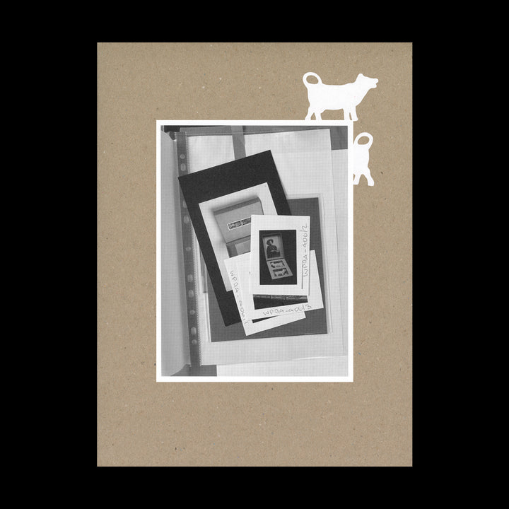 WORKING THROUGH OBJECTS by Susan Hiller