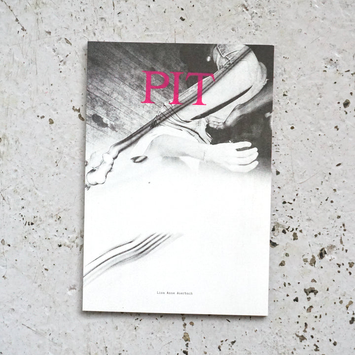 PIT by Lisa Anne Auerbach