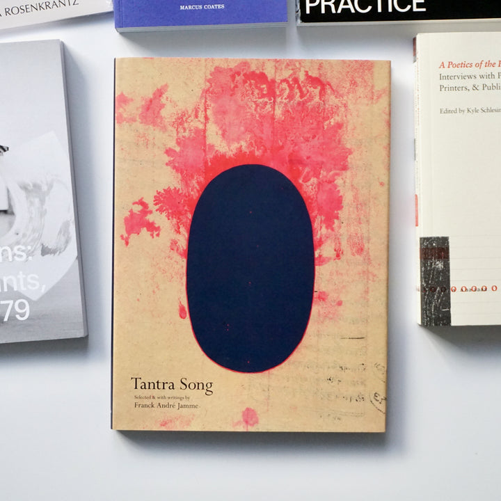 TANTRA SONG: TANTRIC PAINTING FROM RAJASTHAN by Frank André Jamme