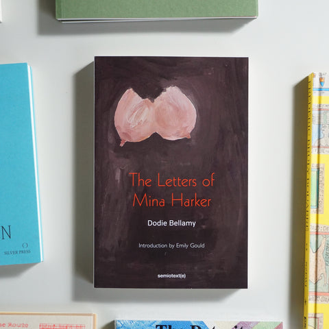 THE LETTERS OF MINA HARKER by Dodie Bellamy