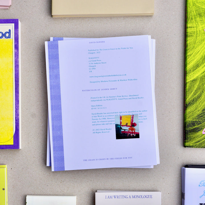 WATERCOLOR OF JANDEK DEBUT: MUSIC TEXTS 2015-2020 by David Roeder